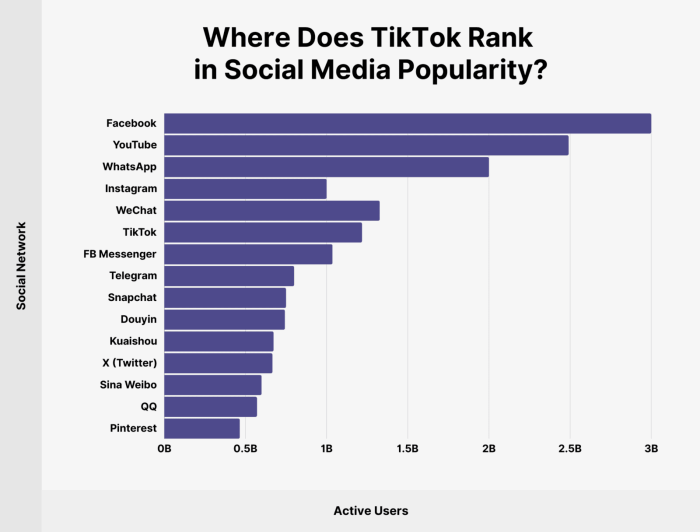 The TikTok Phenomenon: Why Is TikTok So Popular? - AdvertiseMint Hiburan konten TikTok populer
